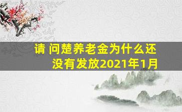 请 问楚养老金为什么还没有发放2021年1月